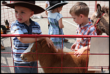 Rodeo Days